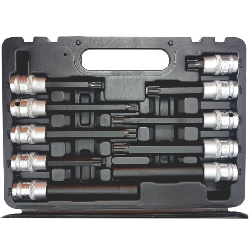 Puntas para tapa de cilindros - Torx Ribe Multiestría - 10 pcs.